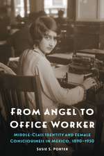 From Angel to Office Worker: Middle-Class Identity and Female Consciousness in Mexico, 1890–1950