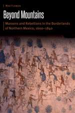 Beyond Mountains: Maroons and Rebellions in the Borderlands of Northern Mexico, 1600–1840