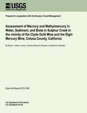 Assessment of Mercury and Methylmercury in Water, Sediment, and Biota in Sulphur Creek in the Vicinity of the Clyde Gold Mine and the Elgin Mercury Mi