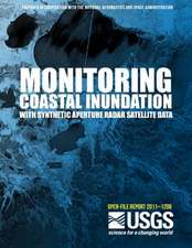 Monitoring Coastal Inundation with Synthetic Aperture Radar Satellite Data