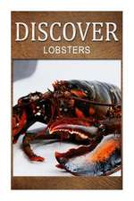 Lobster - Discover