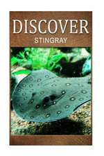 Stingray - Discover