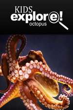 Octopus - Kids Explore