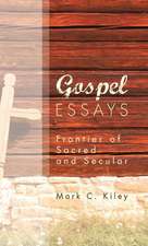 Gospel Essays