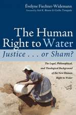 The Human Right to Water