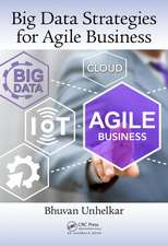 Big Data Strategies for Agile Business