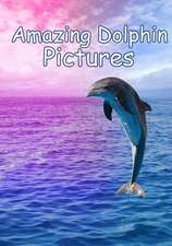 Amazing Dolphin Pictures