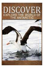 Explore the World of the Antarctic - Discover