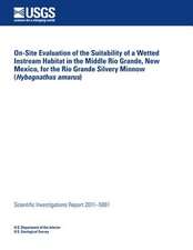 On-Site Evaluation of the Suitability of a Wetted Instream Habitat in the Middle Rio Grande, New Mexico, for the Rio Grande Silvery Minnow (Hybognathu