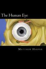 The Human Eye