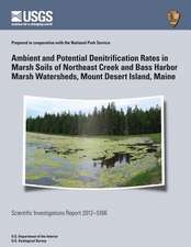 Ambient and Potential Denitrification Rates in Marsh Soils of Northeast Creek and Bass Harbor Marsh Watersheds, Mount Desert Island, Maine