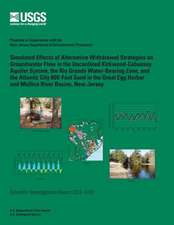 Simulated Effects of Alternative Withdrawal Strategies on Groundwater Flow