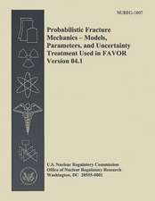 Probabilistic Fracture Mechanics - Models, Parameters, and Uncertainty Treatment Used in Favor Version 04.1