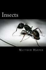 Insects