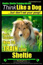 Sheltie, Sheltie Training AAA Akc - Think Like a Dog But Don't Eat Your Poop!