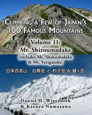 Climbing a Few of Japan's 100 Famous Mountains - Volume 11