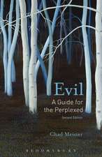 Evil: A Guide for the Perplexed