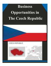 Business Opportunities in the Czech Republic