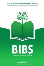 Bibs - Big Idea Bible Study