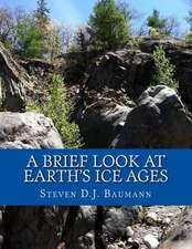 A Brief Look at Earth's Ice Ages