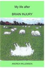 My Life After Brain Injury