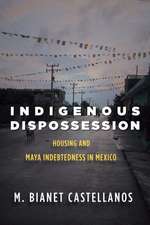 Indigenous Dispossession – Housing and Maya Indebtedness in Mexico