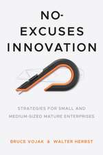 No–Excuses Innovation – Strategies for Small– and Medium–Sized Mature Enterprises