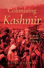 Colonizing Kashmir – State–building under Indian Occupation