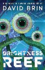 Brightness Reef