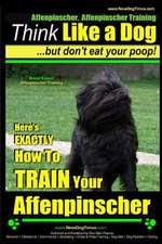 Affenpinscher, Affenpinscher Training - Think Like a Dog But Don't Eat Your Poop! - Breed Expert Affenpinscher Training -