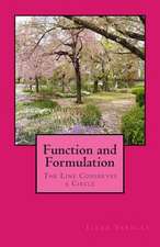 Function and Formulation