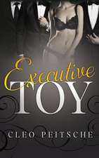 Executive Toy