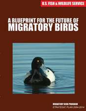 A Blueprint for the Future of Migratory Birds