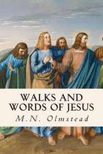 Walks and Words of Jesus