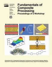 Findamentals of Composite Processing