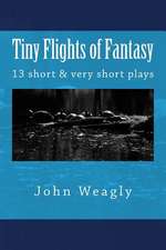 Tiny Flights of Fantasy