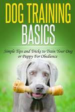 Dog Training Basics