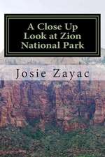 A Close Up Look at Zion National Park