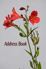 Address Book