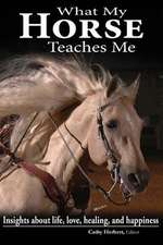 What My Horse Teaches Me