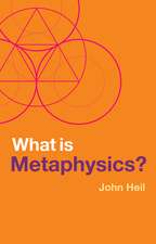 What Is Metaphysics?
