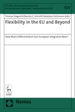 Flexibility in the EU and Beyond: How Much Differentiation Can European Integration Bear?