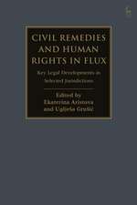 Civil Remedies and Human Rights in Flux: Key Legal Developments in Selected Jurisdictions