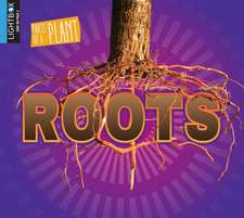 Roots