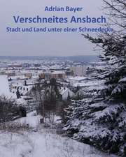 Verschneites Ansbach