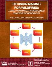 Decision Making for Wildfires