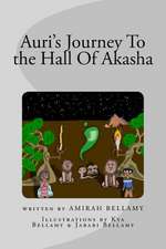 Auri's Journey to the Hall of Akasha