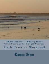 30 Worksheets - Adding Place Value Commas to 4 Digit Numbers