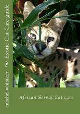 Exotic Cat Care Guide