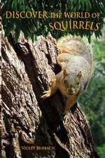 Discover the World of Squirrels